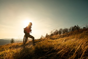 hiker young woman with backpack rises to the mountain top on picture id1204164330
